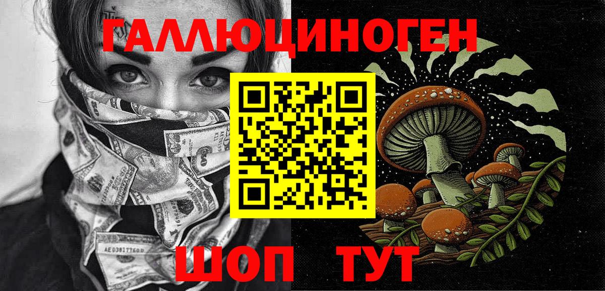 где можно купить наркотик  Галлюциногенные грибы прущие грибы  Кыштым  Вход с VPN  Псилоцибиновые грибы Psilocybe 